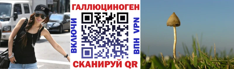 Псилоцибиновые грибы Magic Shrooms  как найти закладки  Козьмодемьянск 